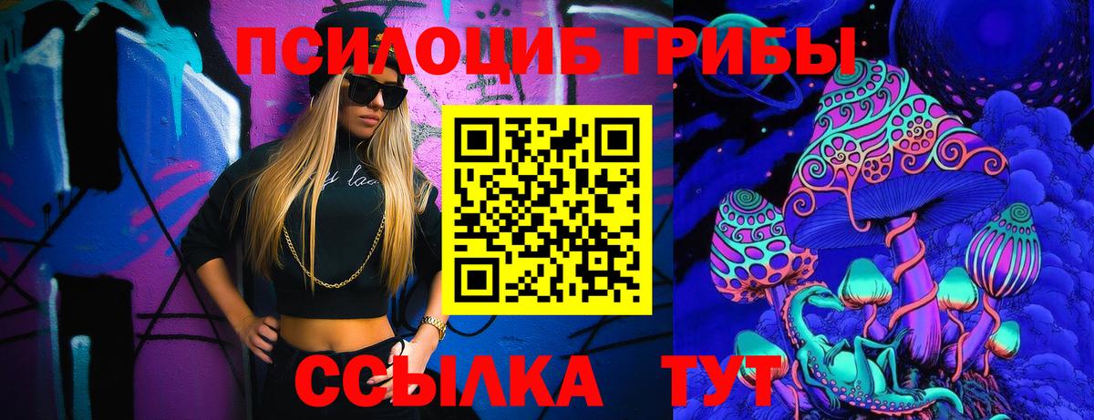 Псилоцибиновые грибы Psilocybe  Вход с VPN  Азнакаево 